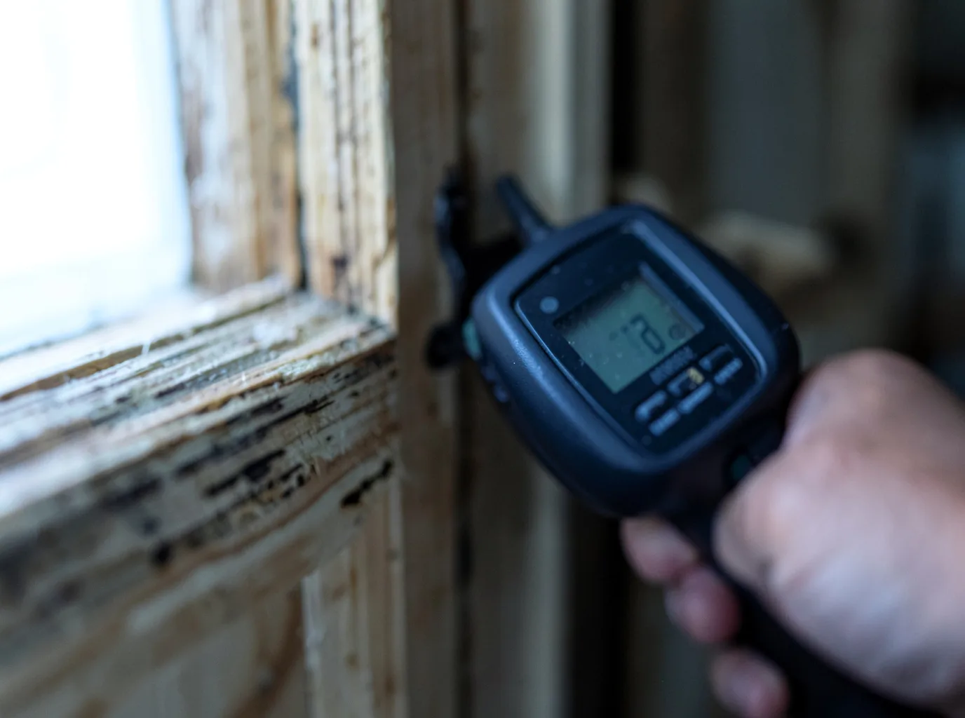 Moisture Inspection And Documentation in Panguitch, UT